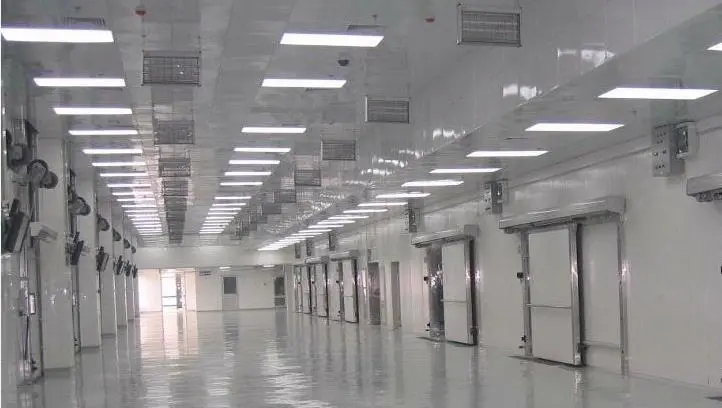 大型冷庫(kù)費(fèi)用標(biāo)準(zhǔn)多少錢一平方