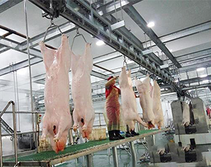 屠宰場生產(chǎn)冷庫預(yù)冷間溫度要求是多少？