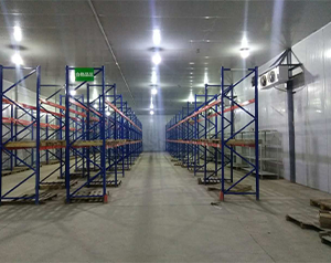 生物公司2-8度的試劑類醫(yī)藥企業(yè)冷庫定制多少錢？