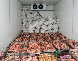 安裝建造海鮮冷庫（水產(chǎn)加工冷庫）造價(jià)費(fèi)用要多少錢？