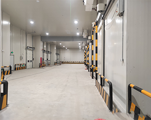 設(shè)計(jì)建造農(nóng)產(chǎn)品保鮮物流冷藏庫(kù)價(jià)錢是多少？