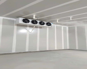 氣調庫儲藏辣椒應該如何進行保鮮？