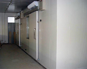 建造一個(gè)大凍庫需要多少錢?造價(jià)清單和設(shè)計(jì)方案?