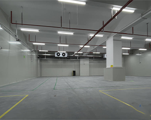 海南3000平氣調(diào)保鮮冷庫造價(jià)多少錢？