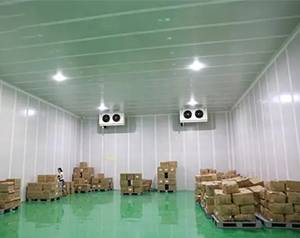 內(nèi)蒙古4000平綜合物流冷庫(kù)安裝多少錢?