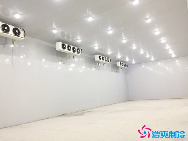 建一個(gè)能放50萬穗玉米的冷庫造價(jià)要多少錢