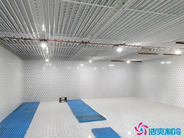 建個冷凍庫要多少錢？冷凍庫每平方米的造價標準