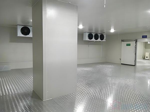 三甲醫(yī)院藥品spd冷庫建造