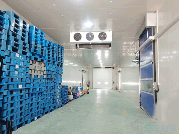 箭齒鰈魚片冷藏庫(kù)儲(chǔ)藏條件，箭齒鰈魚冷庫(kù)溫度要求