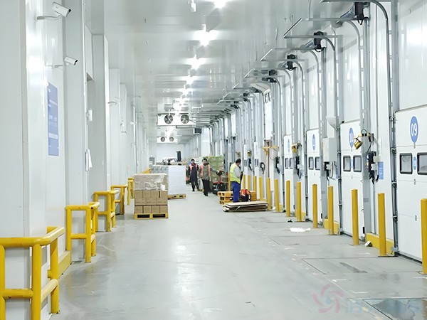 5000噸大型冷庫工程造價