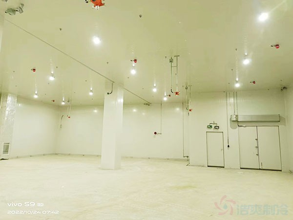 化工企業(yè)冷庫制冷系統(tǒng)設計依據(jù)什么規(guī)范？