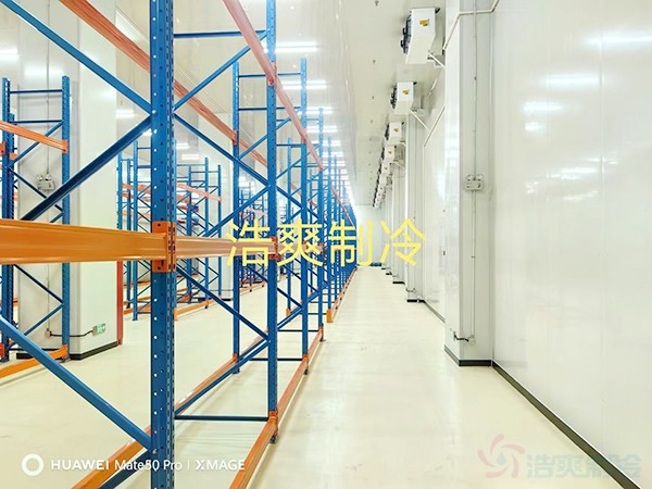 三類醫(yī)療要求冷凍室和冷藏室多大？造價預算多少錢？