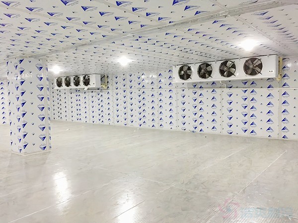 建一個(gè)冷凍庫造價(jià)需要多少錢一平方？