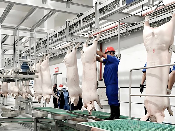 屠宰場冷庫一般都在車間內(nèi)嗎？速凍間是冷庫嗎？