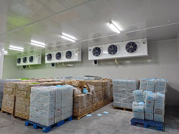 大型工業(yè)藥品冷庫(kù)建設(shè)安裝價(jià)格大概多少錢(qián)？