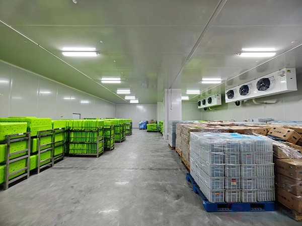 大型工業(yè)藥品冷庫(kù)建設(shè)安裝價(jià)格大概多少錢(qián)？