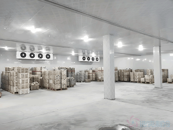 蘑菇種植園冷庫(kù)建造面積及造價(jià)費(fèi)用