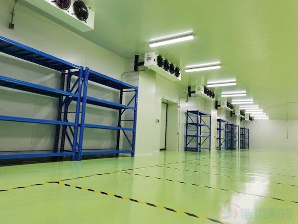 -20度的RNR疫苗冷庫(kù)儲(chǔ)存要求及配置標(biāo)準(zhǔn)