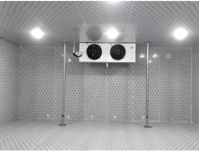 浙江仙居股份經(jīng)濟(jì)合作社羊肚菌氣調(diào)保鮮冷庫建造工程案