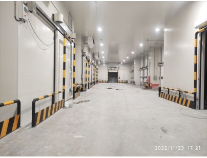 江蘇太倉遠(yuǎn)洋物流二氧化碳復(fù)疊系統(tǒng)冷庫建造工程案例