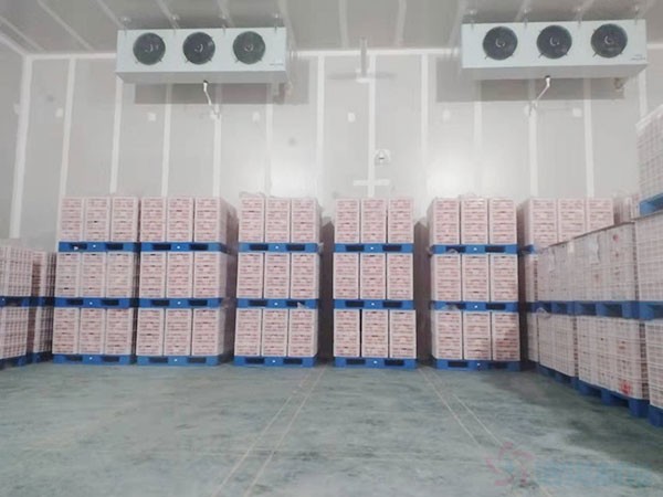 氣調(diào)保鮮庫(kù)造價(jià)