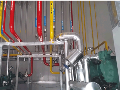 杭州百草味62,588立方米大型食品加工配套冷庫工程案例