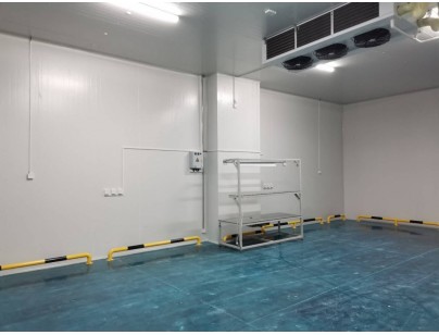 伊利乳業(yè)高標準乳制品加工冷鏈倉儲冷庫建造工程案例