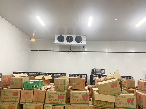 蘋果冷庫建設費用