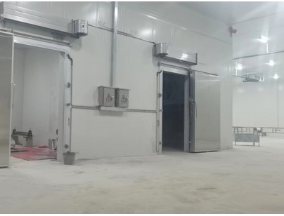 廣西大化起點農(nóng)牧2000m3畜禽肉類屠宰加工冷鏈中心建造冷庫工程案例