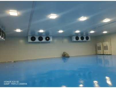 艾美科健物管部2-8℃酶載體樹(shù)脂材料專用冷庫(kù)工程案例