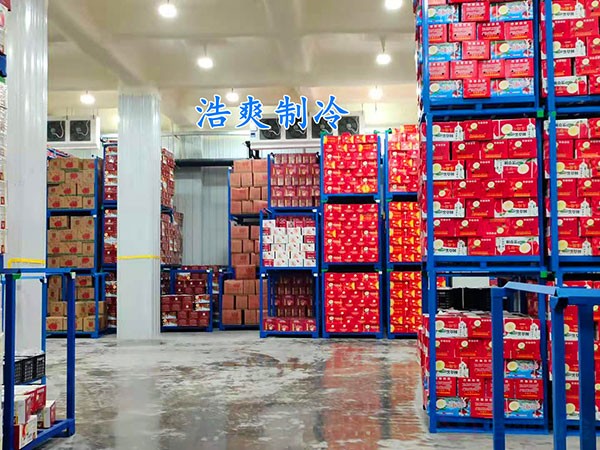 蘋果冷庫造價(jià)