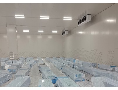 安徽翔威供應鏈14500m3保稅區(qū)冷鏈物流冷庫工程建造案例