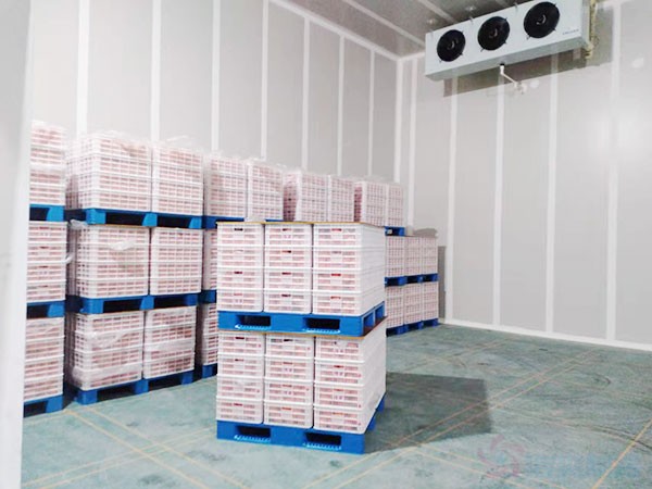 氣調保鮮庫造價