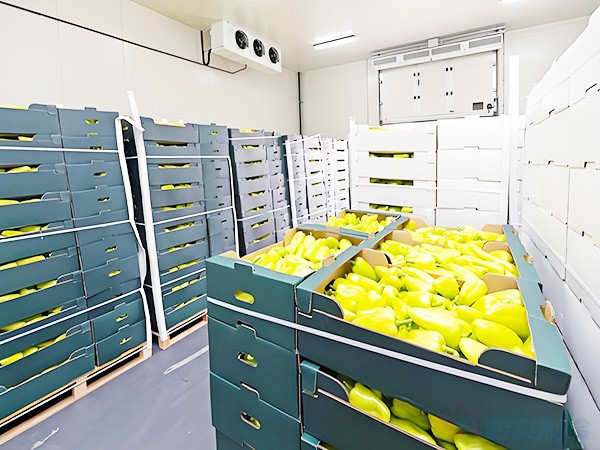 氣調(diào)冷庫(kù)